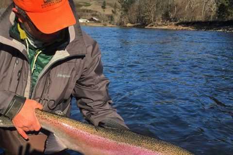 Mid-winter Fly Fishing Fix - Montana Trout Outfitters