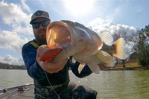 This Is How We Catch Bigger Bass In Spring! (Shallow Water Tricks)