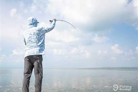 How to Go Fly Fishing in Florida: An Angler’s Guide