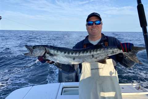 19-Pound Barracuda Caught South of Montauk