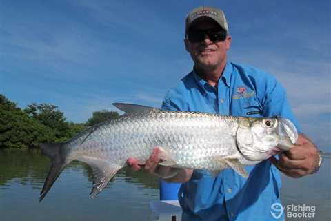 How to Go Tarpon Fishing in Miami: An Angler’s Guide