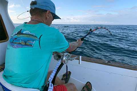 Isabela Island, Galapagos Giant Blue Marlin Dates That Need To Go!