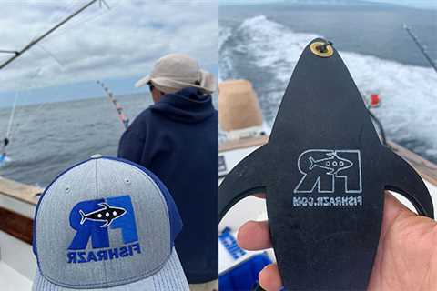 Ecuagringo December Galapagos Islands Marlin Fishing Newsletter