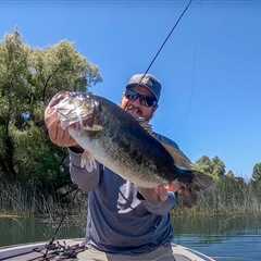 Summer Bass Fishing: Where Bass Go And How To Catch Them!