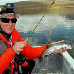 How to Go Trout Fly Fishing: An Angler’s Guide