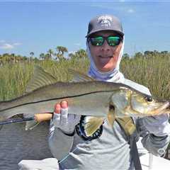 The Best Snook Bait: An Angler’s Guide
