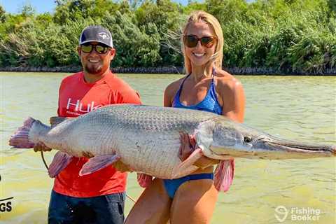 How to Go Fishing for Alligator Gar: An Angler’s Guide