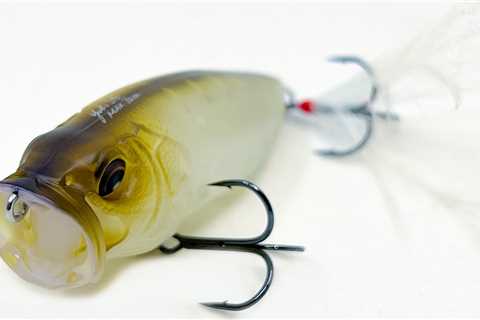 Top Baits For Post Spawn Bass Fishing (May and June)