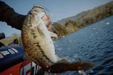 5 GREAT WAYS TO USE SOFT-BODY SWIMBAITS