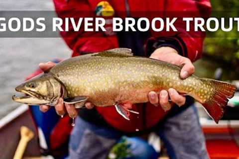 Gods River Brook Trout