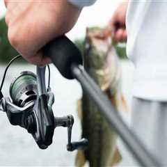Exploring the Best Wholesale Fishing Equipment Suppliers in Fort Mill, SC