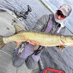 More big pike reports from Lough Derg