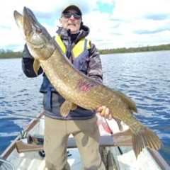 198 Pike for French Anglers at Melview Fishing Lodge in Longford