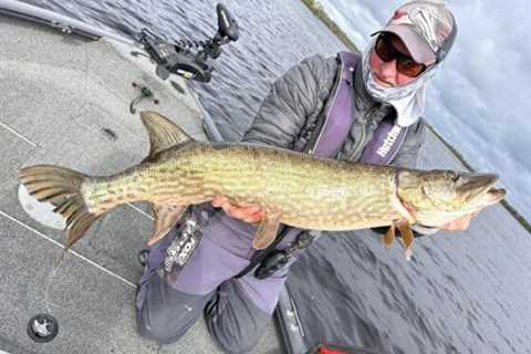 More big pike reports from Lough Derg