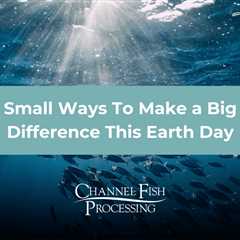 Small Ways to Make a Big Difference this Earth Day