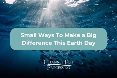 Small Ways to Make a Big Difference this Earth Day