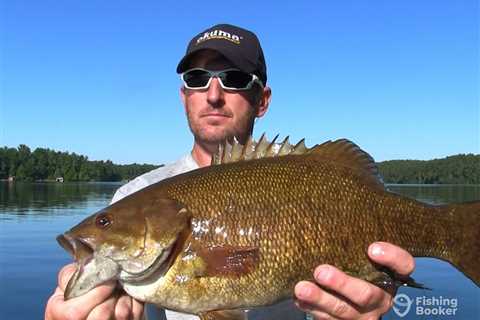 How to Go Smallmouth Bass Fishing: The Complete Guide  for 2024