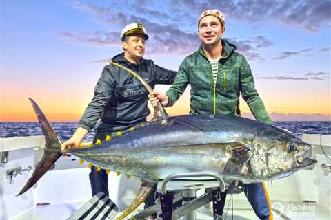 Tuna Fishing Season: The Complete Guide for 2024