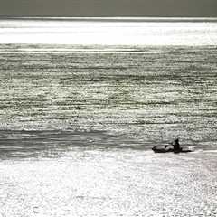 Best Saltwater Baits for Fishing Kelp Beds: An Angler’s Guide