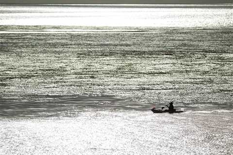 Best Saltwater Baits for Fishing Kelp Beds: An Angler’s Guide