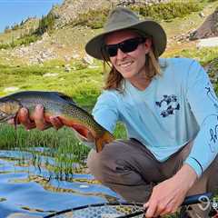 How to Go Fishing for Brook Trout: The Complete Guide
