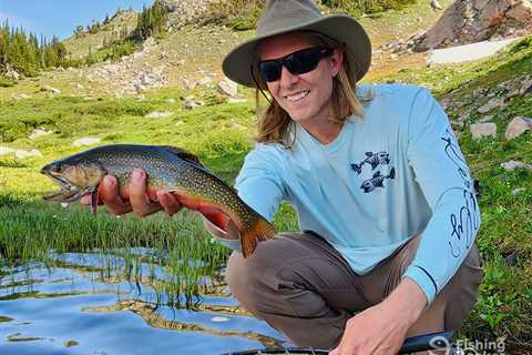 How to Go Fishing for Brook Trout: The Complete Guide