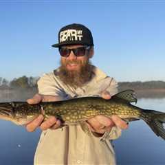 How to Go Chain Pickerel Fishing: The Complete Guide