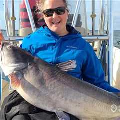Catfish Species: An Angler’s Guide