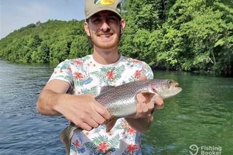 How to Go Trout Fishing in Missouri: An Angler’s Guide for 2025