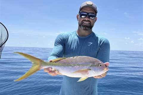 How to Go Yellowtail Snapper Fishing: The Complete Guide