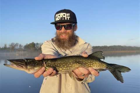 How to Go Chain Pickerel Fishing: The Complete Guide