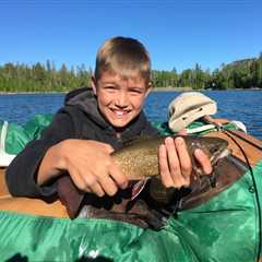 Trout Fishing in Tennessee: The Ultimate Guide for 2025