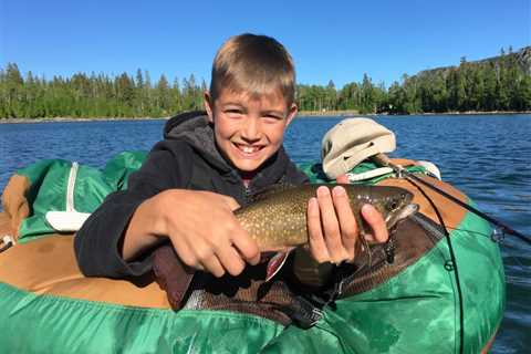 Trout Fishing in Tennessee: The Ultimate Guide for 2025