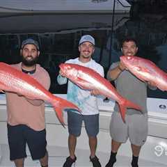 Snapper Fish Species: Your Guide for 2025