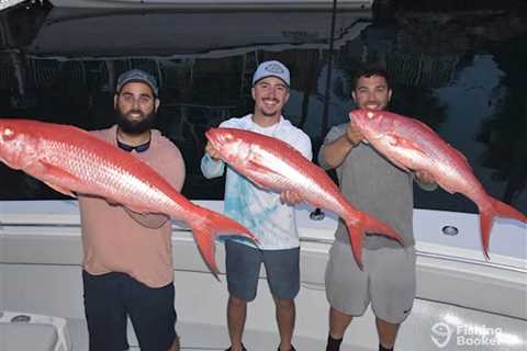 Snapper Fish Species: Your Guide for 2025