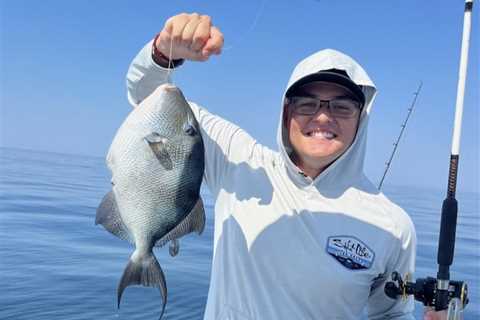 How to Go Fishing for Triggerfish: The Complete Guide