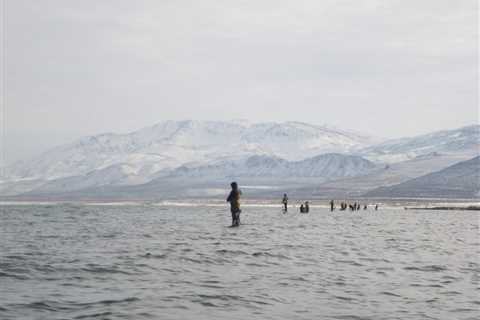 Fishing Pyramid Lake in Nevada for Cutthroat Trout: An Expert’s Take for 2026