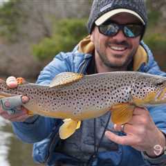 Michigan Trout Season: An Angler’s Guide to What You Need to Know for 2026
