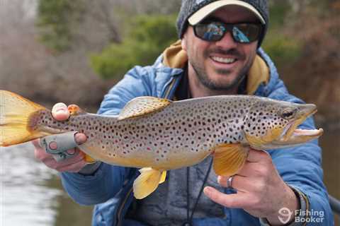 Michigan Trout Season: An Angler’s Guide to What You Need to Know for 2026