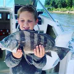 Black Drum vs. Sheepshead: An Angler’s Guide to Two Prized Inshore Fish