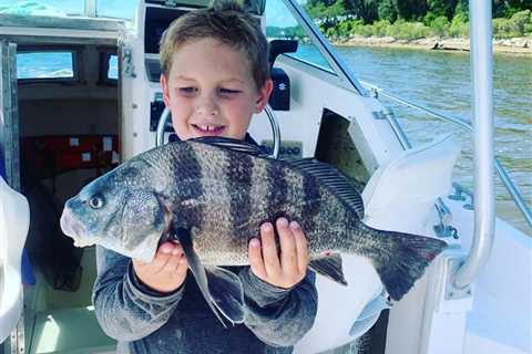 Black Drum vs. Sheepshead: An Angler’s Guide to Two Prized Inshore Fish