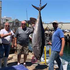NOAA Closes Gulf of Maine Trophy Bluefin Tuna Fishery for the Rest of 2026
