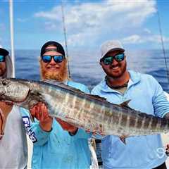 Alabama Deep Sea Fishing Rodeo 2026: Tournament Dates, Fees, Prizes, Rules, and How to Fish and..