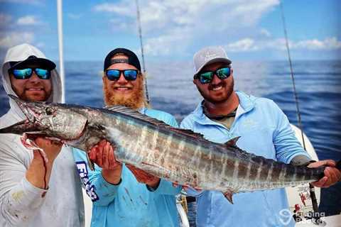 Alabama Deep Sea Fishing Rodeo 2026: Tournament Dates, Fees, Prizes, Rules, and How to Fish and..